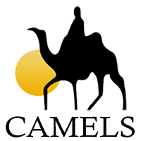 CAMELS Investor Focus